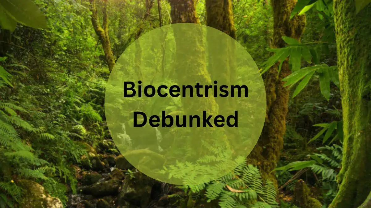 Biocentrism Debunked: A Critical Look at the Controversial Theory -  Baddiehubpro