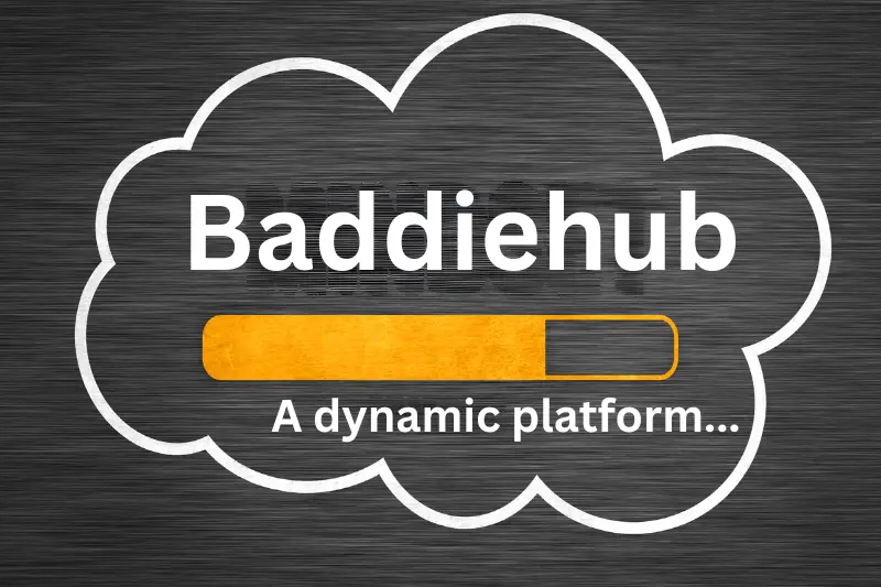 What Is Baddiehub? Best Complete Guide in 2024