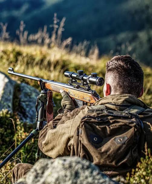 Billings Optics Inc: Precision and Innovation in Hunting and Shooting Equipment