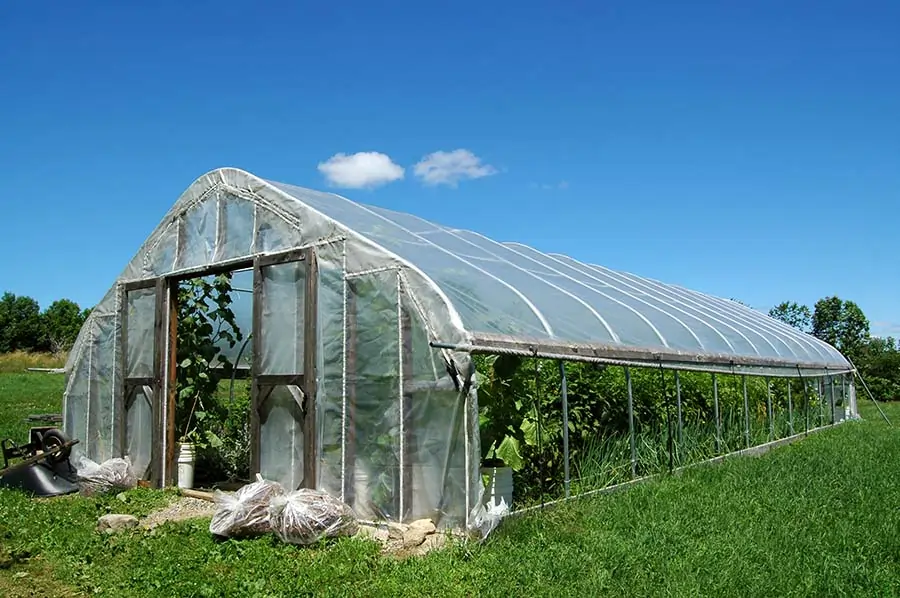 Design Features of Quonset vs. Gothic Arch Greenhouse: Which is Best for You?