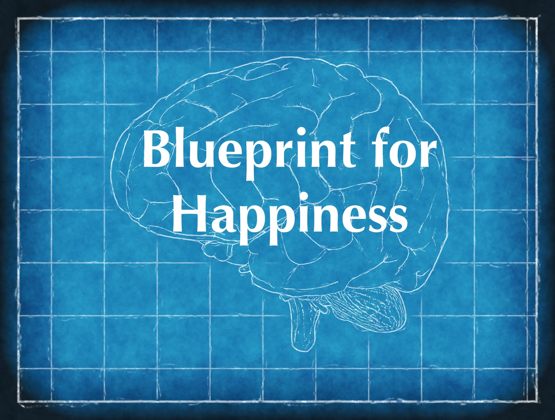 The Happiness Blueprint: How to Improve Your Quality of Life Today