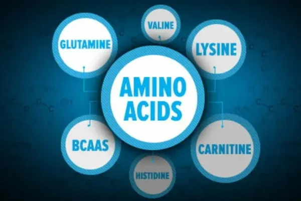 DoctorHub3com Amino Acids Baddiehubpro.com